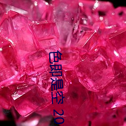 色即是空 2023