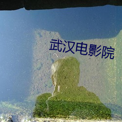武漢電影院