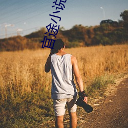 官途小说
