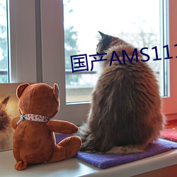 AMS1117 ࣩ