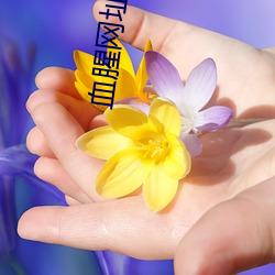 血(血)腥网址拿走不谢