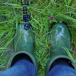 免费中日高清(qng)无专码(mǎ)区.docx