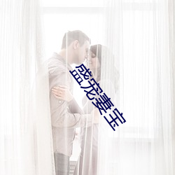 盛宠妻宝