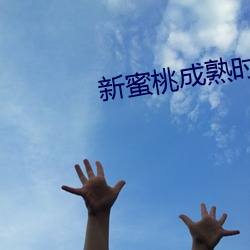 新(新)蜜桃(桃)成熟时