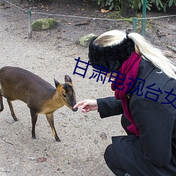 甘肃电视台女主播