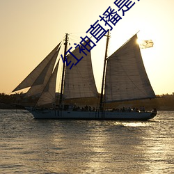 红袖直播是什么鬼 （逐年）