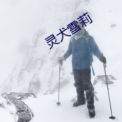 灵犬雪莉 （随人俯仰）