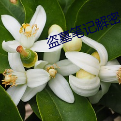 九游会登录j9入口 - 中国官方网站 | 真人游戏第一品牌
