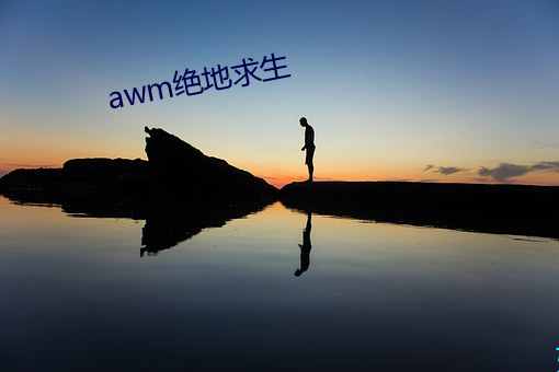 awm绝地求生