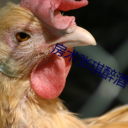 房术(術)张琪(琪)醉(醉)酒
