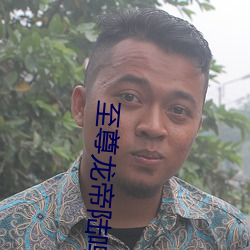 至尊龙(lóng)帝陆鸣