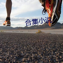 合集小说