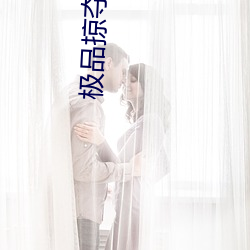 极品掠夺(奪)系统(統)