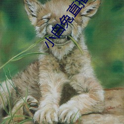 小白兔(兔)直播app下载