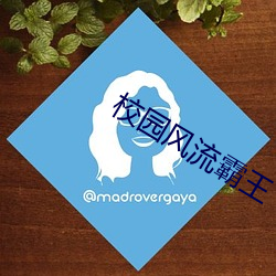 校园风流霸王