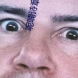 呢喃诗(詩)章(章)