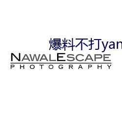 爆料不打yang