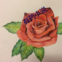 有药小(小)说(說)