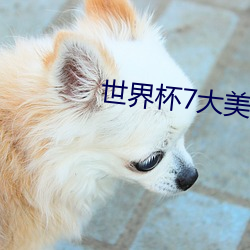 世界杯7大美女