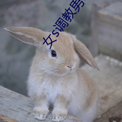 vwin·德赢(中国) - 官方网站
