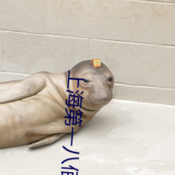 上海第一八佰伴
