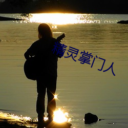 精灵掌门人