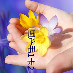 国产(産)毛(毛)1卡(卡)2卡3卡(卡)4卡免费(費)观(觀)看