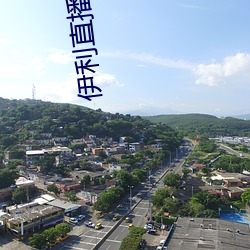 伊利直播下载