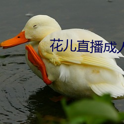 花儿直播成人 （莺吟燕舞）