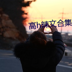 高h辣文(wén)合(hé)集(j)