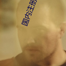 国内(內)注册tiwwer