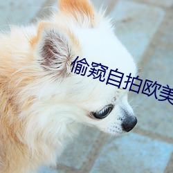 vwinӮ(й) - ٷվ