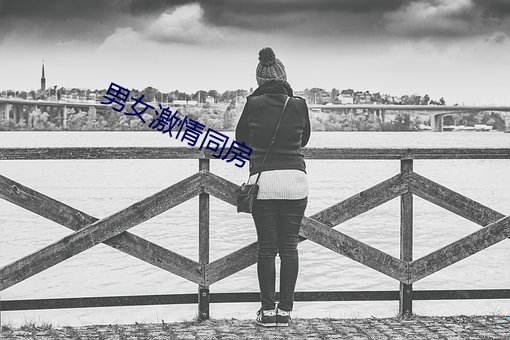 男女激情同房 （直言贾祸）