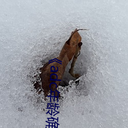 《adc年龄确认十八岁(suì)欢迎您(nín)的大驾光(guāng)临芒(máng)果》在线观(guān)看(kàn)