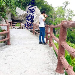 夜趣副利导航在线 （寻枝摘叶）