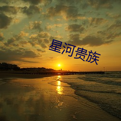 星河贵族