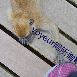 voyeur廁所偷窺