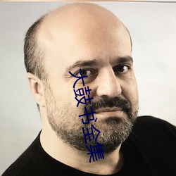 大鼓书全集