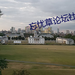 忘忧草论坛(tán)社区在线