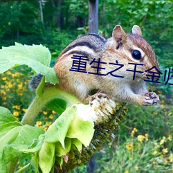 重生之千金歸來