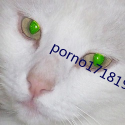 porno171819hd