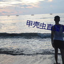 甲殼蟲直播下載