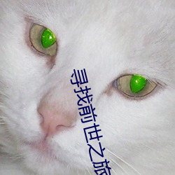 尋找前世之旅續集