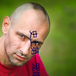 史上第一宠婚(hūn)