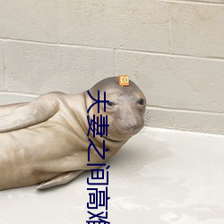 夫妻之间高难度动作 （日月经天，江河行地）