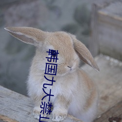 韩国九(jiǔ)大禁(jìn)止舞(wǔ)蹈