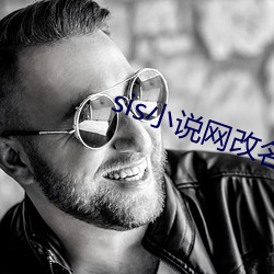 sis小说网改名什么了