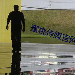 蜜桃传媒官网 （背包