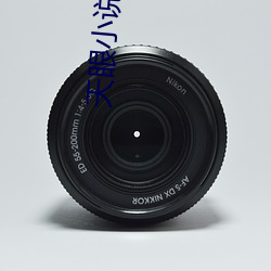 天眼小说