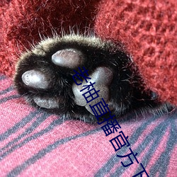 老柚直播官方下載
